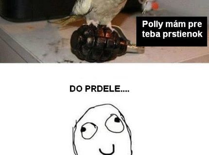 Ako vyzerá prstienok darovaný z lásky :D