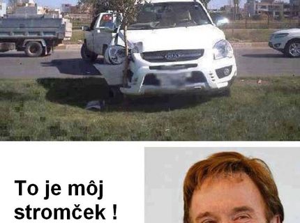 Chuck Norris a jeho stromček :D