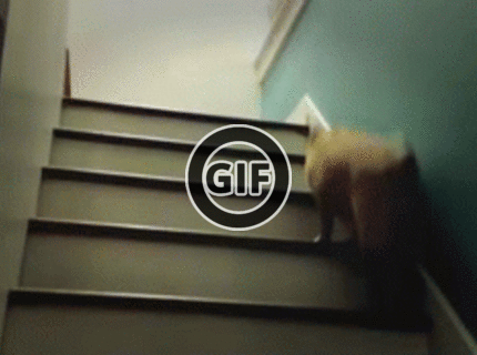 BRATM GIF: Pozri ako idem po schodoch :) :)