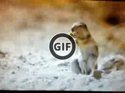 BRATM GIF: Ten pohľad stojí za to :D