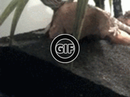 BRATM GIF: Haha, tak toto je iný playboy :D