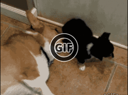 BRATM GIF: To musel byť jedine prd :D