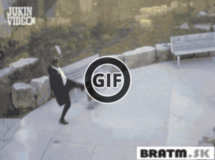 BRATM GIF: Strážca svojho teritória :D