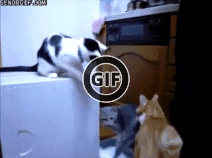 BRATM GIF: Tak toto bolo naozaj zákerné :D