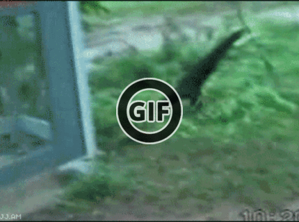 BRATM GIF: Zákerák ..nedá a nedá pokoj :D