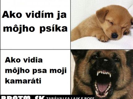 Ja a môj pes :D  a ako ho vidia ostatní :D