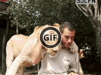 BRATM GIF: Krásni miláčkovia :)