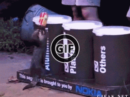 BRATM GIF: Triedenie odpadu... berte si príklad :)