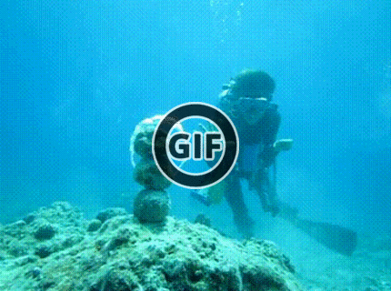 BRATM GIF: Zábava pod hladinou :)