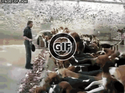 BRATM GIF: NEUVERITEĽNÉ !!!! Čas večere :D:D