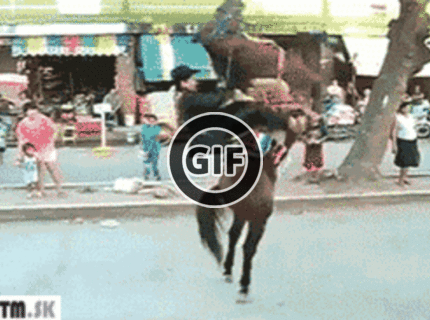 BRATM GIF: Hijóóó koník :D