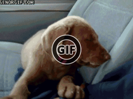 BRATM GIF: Kámo, ja nie som vôbec unavený :D