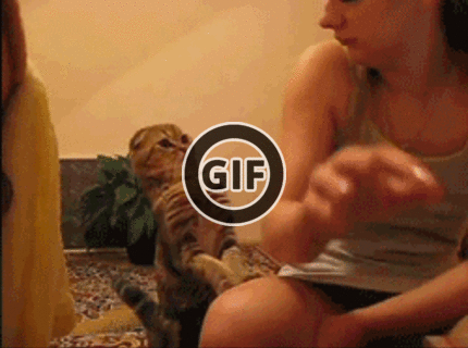 BRATM GIF: Takto krásne si viem vypýtať pohladenie :D