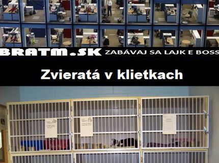 Vidíš v tomto nejaký rozdiel ? :D