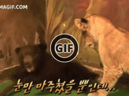 BRATM GIF:  Preboha, to je tiger :D