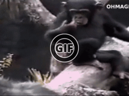 BRATM GIF: A pre toto si tam radšej nikdy nepchajte prsty :D