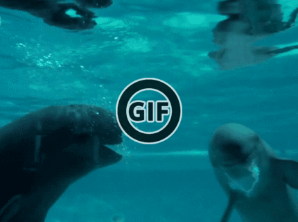 BRATM GIF: Zábava vo vode :D