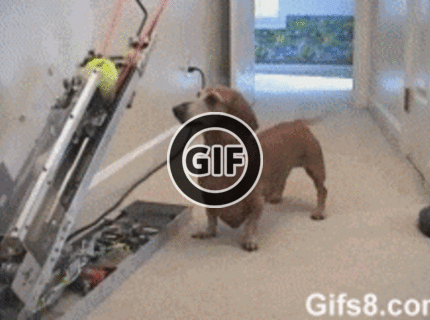 BRATM GIF: Takto krásne sa viem hrať :D