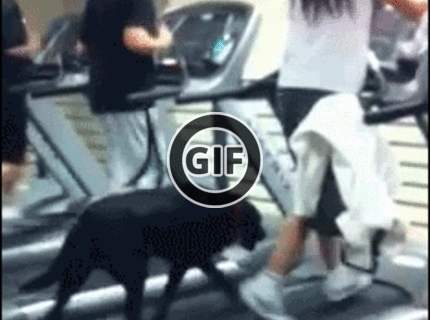 BRATM GIF: Šport je prospešný a dokonca pre každého :D