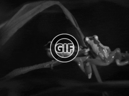 BRATM GIF: Vypadni! to je moje steblo trávy :D