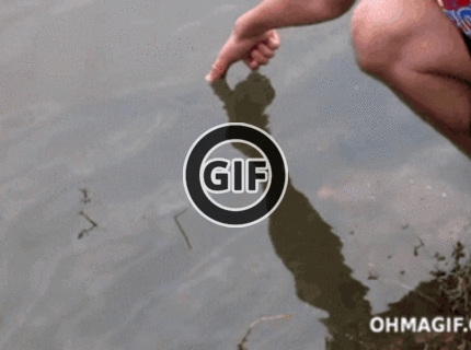 BRATM GIF: Poď moja HOP! :D takto sa majú chytať ryby :D