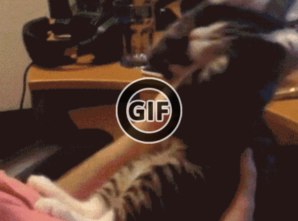 BRATM GIF: Jeeej keď sa mačička nechce nechať pobozkať :D