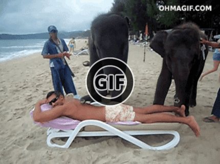 BRATM GIF: Slonia masáž na pláži :D