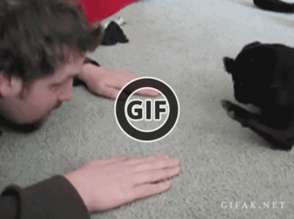 BRATM GIF: Roztomilá hra so psom :D