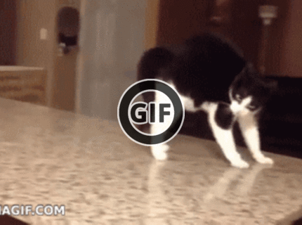 BRATM GIF: AHA, pozri čo viem !  :D