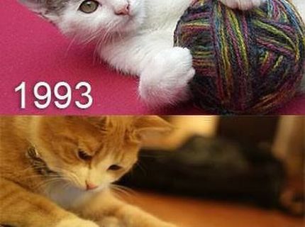 1993 vs. 2013 :D