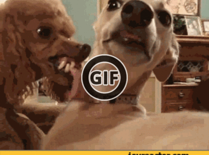 BRATM GIF: Takto to vyzerá, keď má moja frajerka svoje dni :D