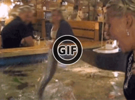 BRATM GIF: Auuu, chvalabohu to nebola piraňa :D