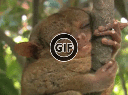 BRATM GIF: Jeej, ten je ale rozkošný :D