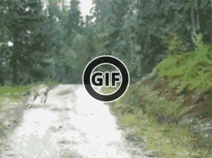 BRATM GIF: Utekajmeee ! :D