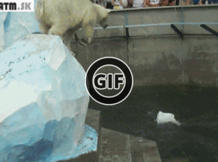 BRATM GIF: Aj medvede poznajú srandu :D