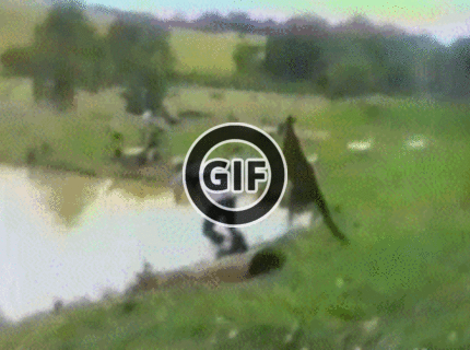 BRATM GIF: Človeče, bež sa schladiť :D