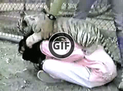 BRATM GIF: Rozkošný ale stále divoký :)