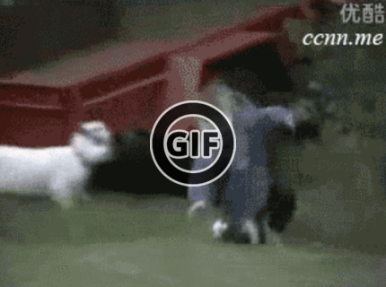 BRATM GIF: Preboha, chúďa dieťa ... :D