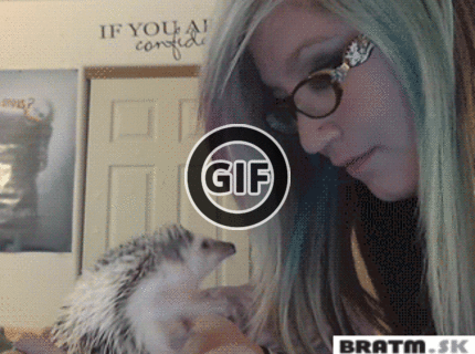 BRATM GIF: Boxujúci ježko- podarené :D