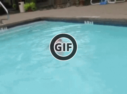 BRATM GIF: Malá rozkošná plavkyňa :)