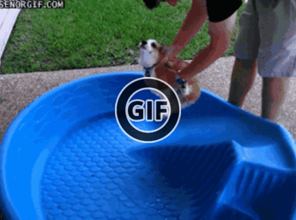 BRATM GIF: Malinký, ešte nie je vo vode a už pláva :)