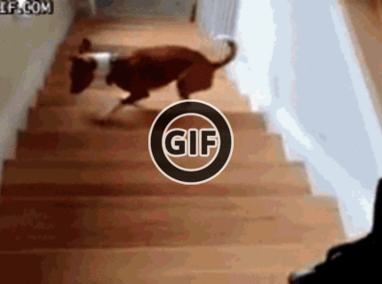 BRATM GIF: Zaujímavý spôsob, ako ísť po schodoch :D