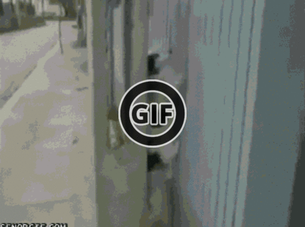 BRATM GIF: Musíš vidieť ! úžasná finta malého tuláka :D