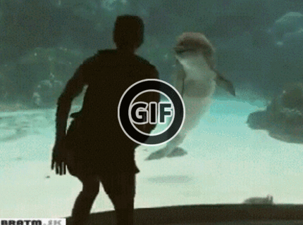 BRATM GIF: Atrakcia pre delfínov :D