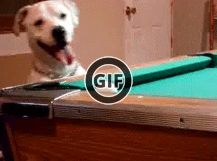 BRATM GIF: Rozkošný hráč :D