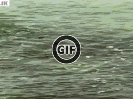 BRATM GIF: Keď prichádza BOSS :D