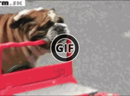 BRATM GIF: Podarený šofér :D