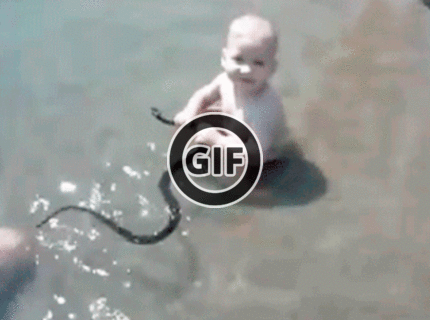 BRATM GIF: Wau ! tak toto by mala vidieť sociálka :D malý zaklínač hadov :D