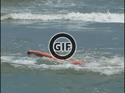 BRATM GIF: Tak toto sa mu podarilo D: