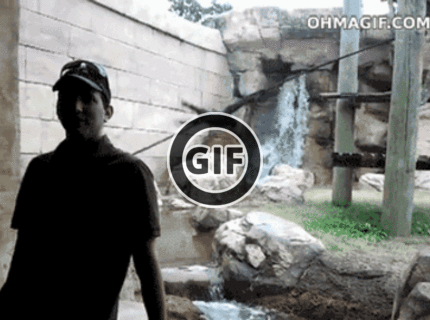 BRATM GIF:  Ešteže tam je to sklo :D